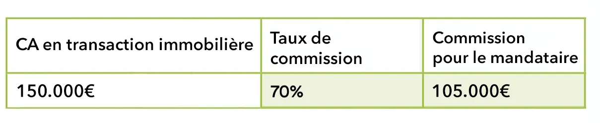 Avinim Mandataire Revenus Multiples Et Attractifs Exemple Ca 1 Copie